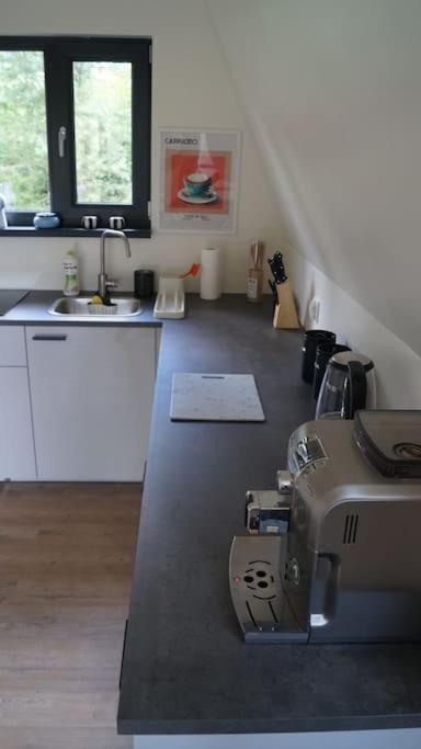 Domek Nad Jeziorem Kaszuby Max 6 Os Bieszkowice Kültér fotó