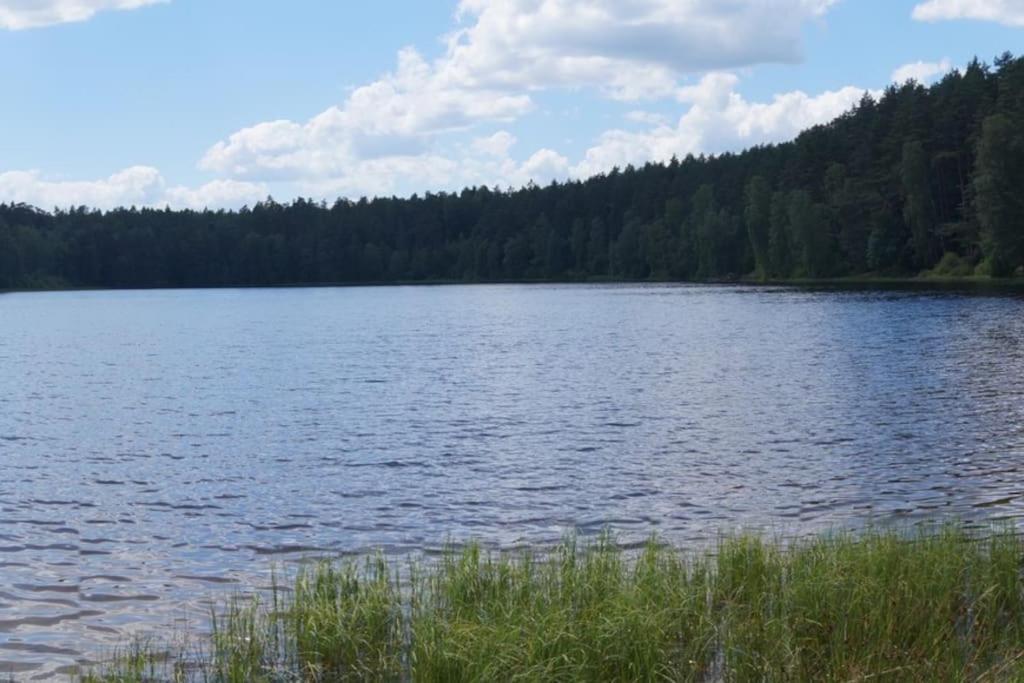 Domek Nad Jeziorem Kaszuby Max 6 Os Bieszkowice Kültér fotó